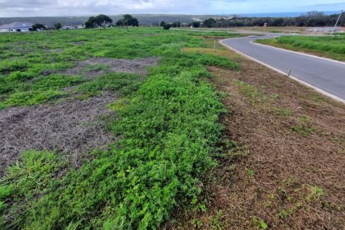Platteboschkloof erwe (17)