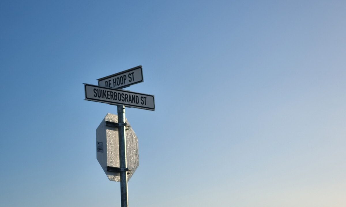 Platteboschkloof erwe (2)