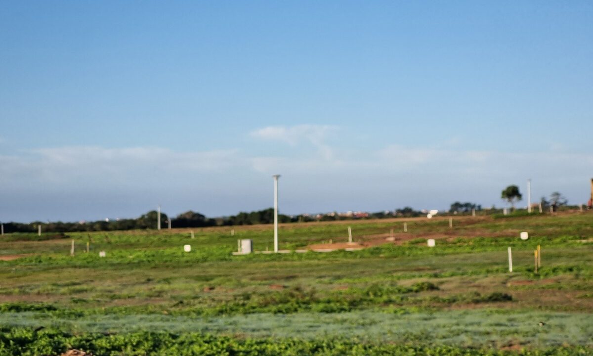 Platteboschkloof erwe (4)