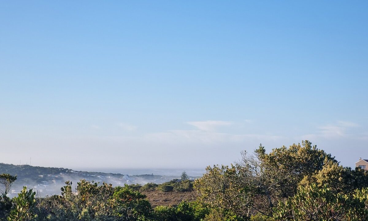 Platteboschkloof erwe (6)